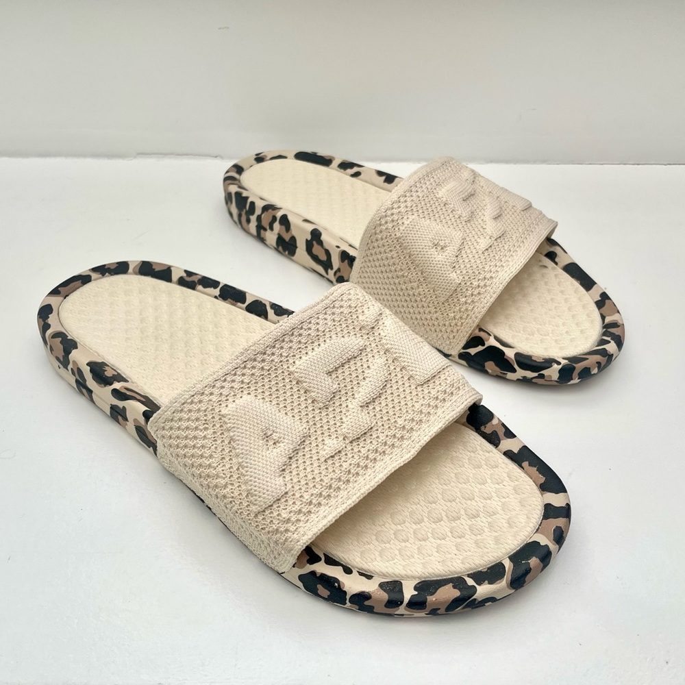 APL Big Logo TechLoom Slides